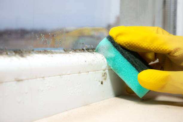 Asbestos and Lead Testing During Mold Inspection